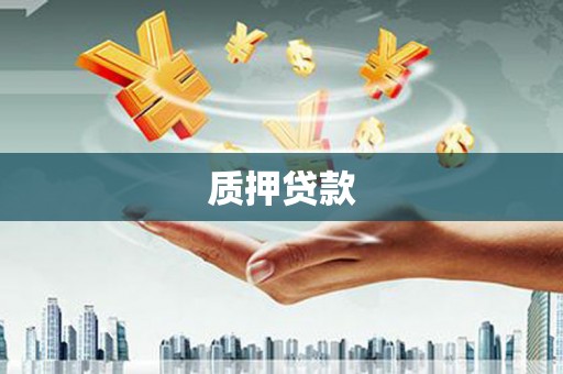 琼结质押贷款