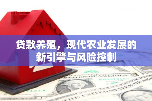琼结贷款养殖，现代农业发展的新引擎与风险控制