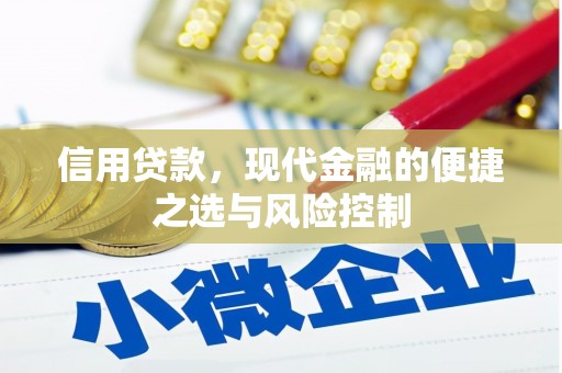 琼结信用贷款，现代金融的便捷之选与风险控制