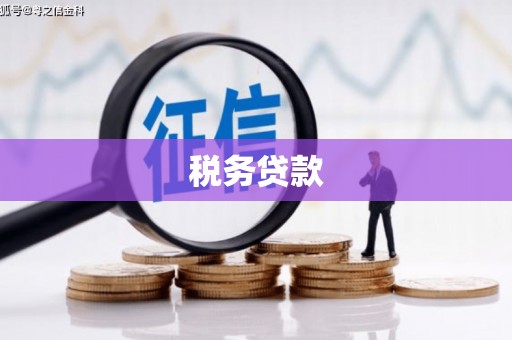 琼结税务贷款