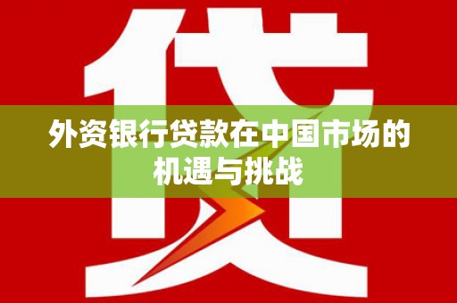 琼结外资银行贷款在中国市场的机遇与挑战