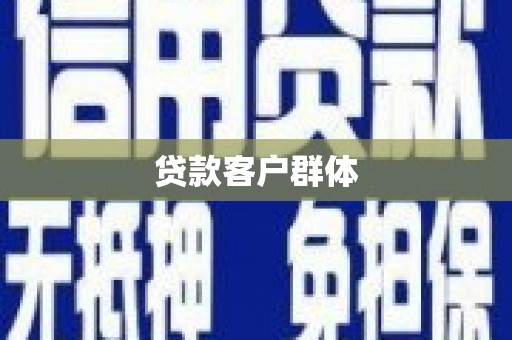 琼结贷款客户群体