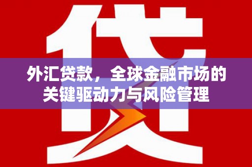 琼结外汇贷款，全球金融市场的关键驱动力与风险管理