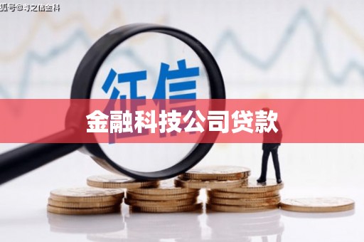 琼结金融科技公司贷款
