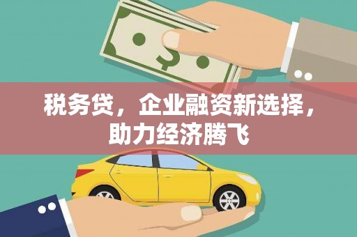 琼结税务贷，企业融资新选择，助力经济腾飞