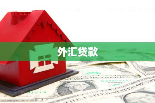 琼结外汇贷款