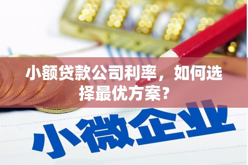 琼结小额贷款公司利率，如何选择最优方案？