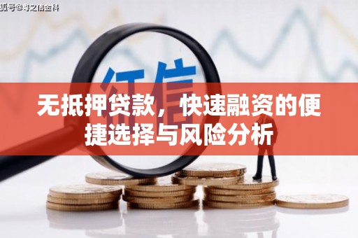 琼结无抵押贷款，快速融资的便捷选择与风险分析