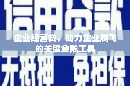琼结企业经营贷，助力企业腾飞的关键金融工具