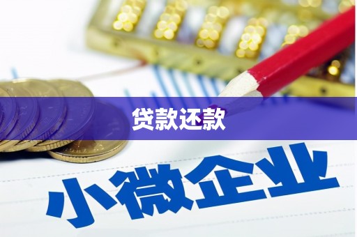 琼结贷款还款