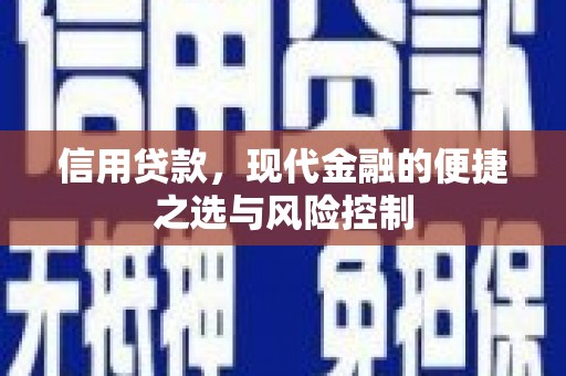 琼结信用贷款，现代金融的便捷之选与风险控制