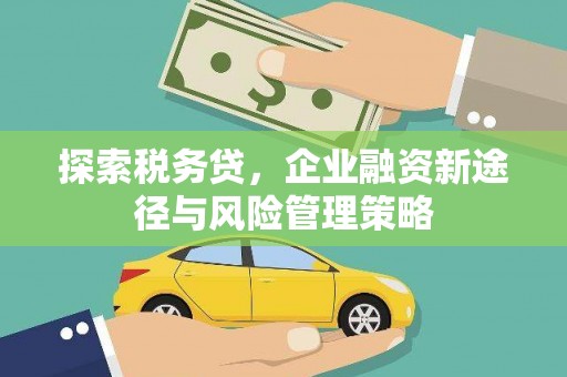 琼结探索税务贷，企业融资新途径与风险管理策略