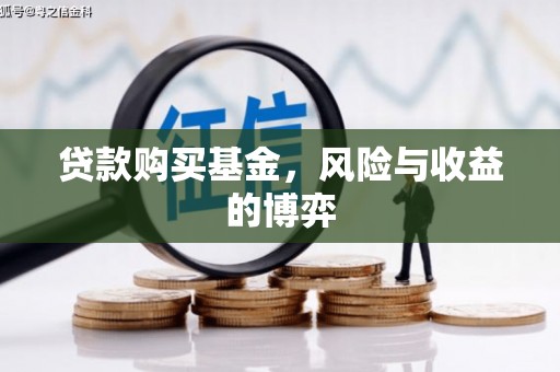 琼结贷款购买基金，风险与收益的博弈