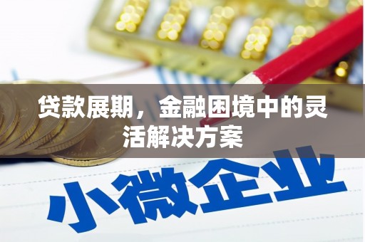 琼结贷款展期，金融困境中的灵活解决方案