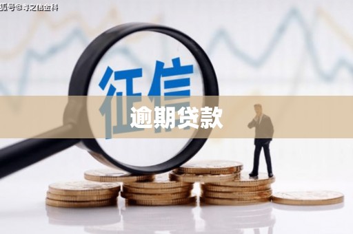 琼结逾期贷款