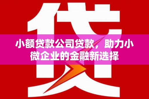 琼结小额贷款公司贷款，助力小微企业的金融新选择