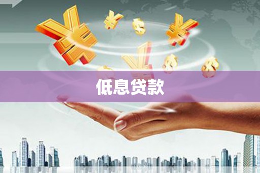 琼结低息贷款