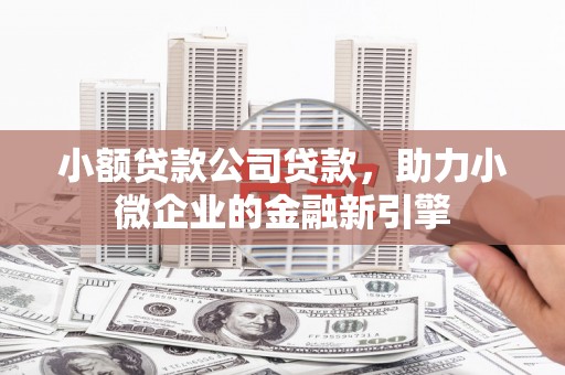 琼结小额贷款公司贷款，助力小微企业的金融新引擎