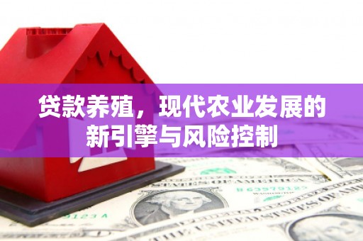 琼结贷款养殖，现代农业发展的新引擎与风险控制