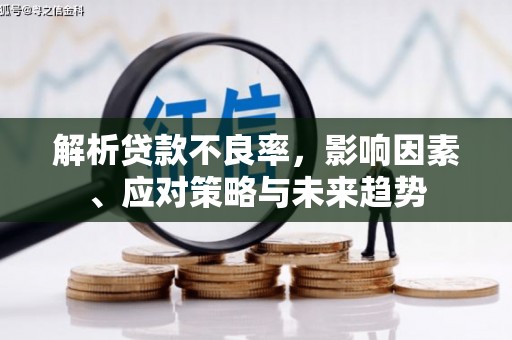 琼结解析贷款不良率，影响因素、应对策略与未来趋势