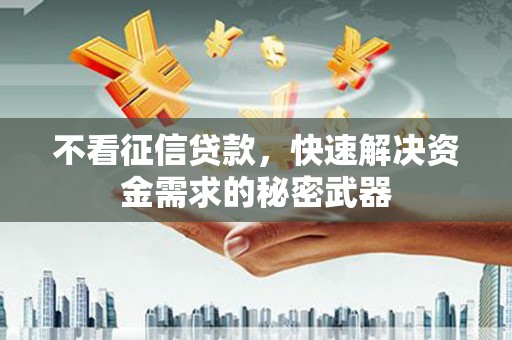琼结不看征信贷款，快速解决资金需求的秘密武器