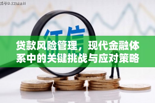 琼结贷款风险管理，现代金融体系中的关键挑战与应对策略