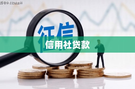 琼结信用社贷款
