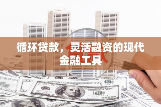 琼结循环贷款，灵活融资的现代金融工具