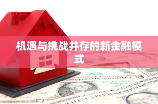 琼结机遇与挑战并存的新金融模式
