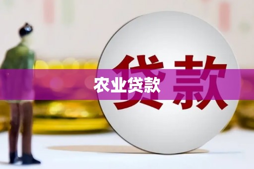琼结农业贷款
