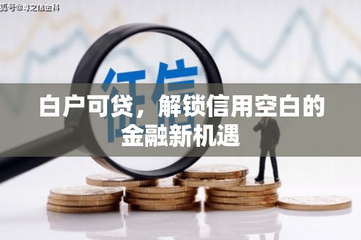 琼结白户可贷，解锁信用空白的金融新机遇