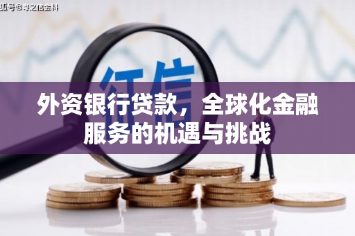 琼结外资银行贷款，全球化金融服务的机遇与挑战