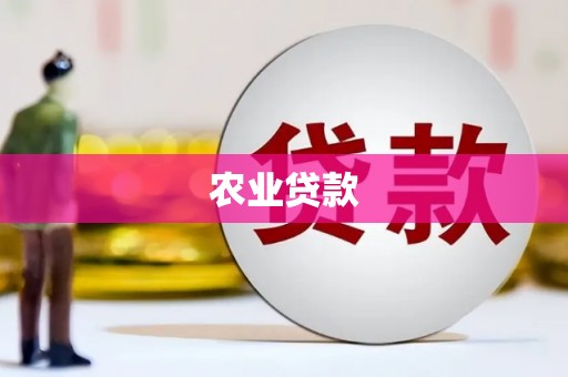 琼结农业贷款