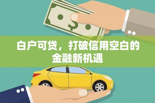 琼结白户可贷，打破信用空白的金融新机遇