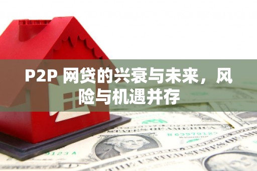 琼结P2P 网贷的兴衰与未来，风险与机遇并存
