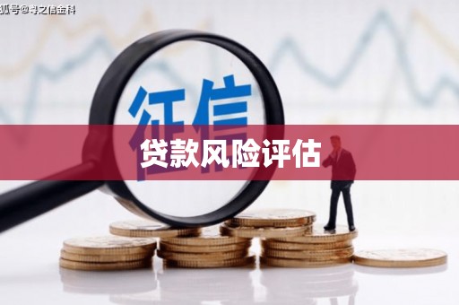 琼结贷款风险评估