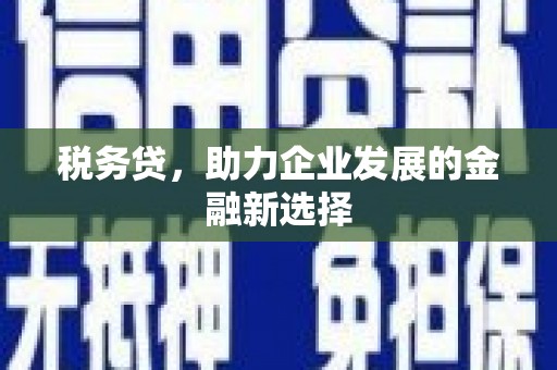 琼结税务贷，助力企业发展的金融新选择