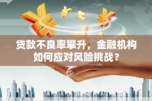 琼结贷款不良率攀升，金融机构如何应对风险挑战？