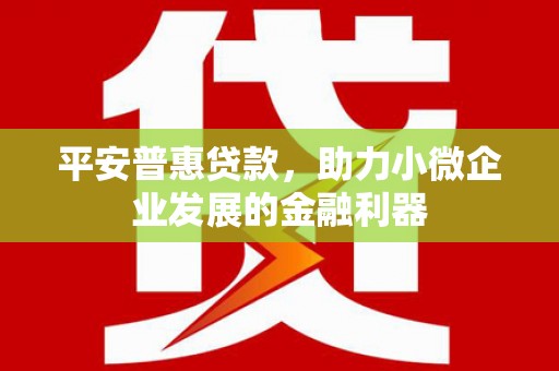 琼结平安普惠贷款，助力小微企业发展的金融利器