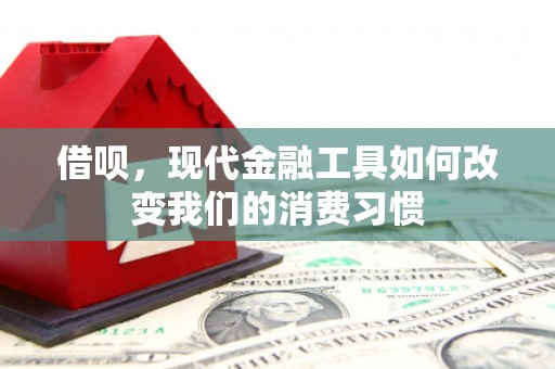 琼结借呗，现代金融工具如何改变我们的消费习惯