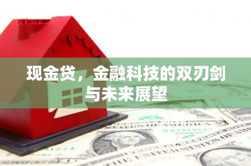 琼结现金贷，金融科技的双刃剑与未来展望