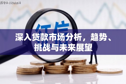 琼结深入贷款市场分析，趋势、挑战与未来展望