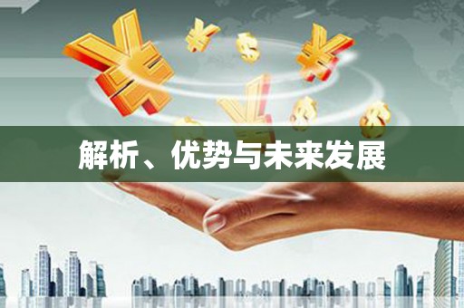 琼结解析、优势与未来发展