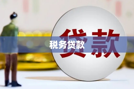 琼结税务贷款