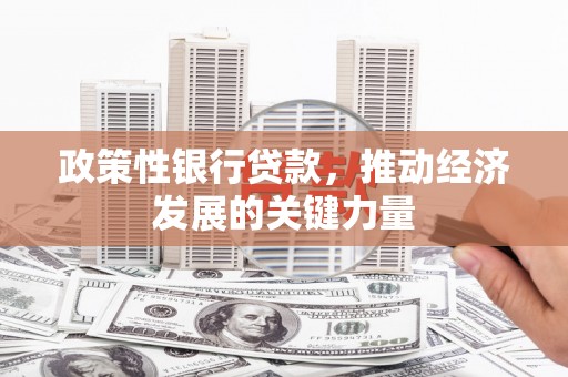 琼结政策性银行贷款，推动经济发展的关键力量