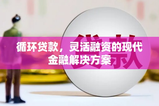 琼结循环贷款，灵活融资的现代金融解决方案