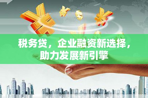 琼结税务贷，企业融资新选择，助力发展新引擎