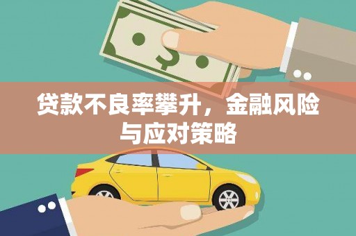琼结贷款不良率攀升，金融风险与应对策略