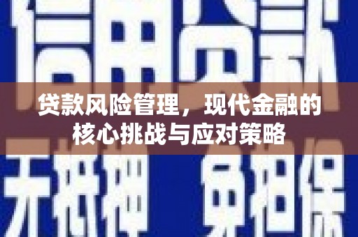 琼结贷款风险管理，现代金融的核心挑战与应对策略