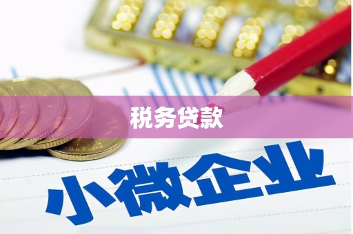 琼结税务贷款